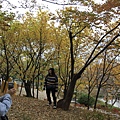 _MG_1259_调整大小.JPG