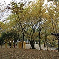 _MG_1258_调整大小.JPG