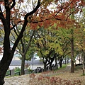 _MG_1253_调整大小.JPG