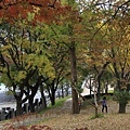 _MG_1252_调整大小.JPG