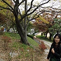 _MG_1247_调整大小.JPG