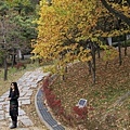 _MG_1245_调整大小.JPG