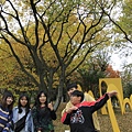 _MG_1246_调整大小.JPG