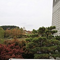 _MG_1240_调整大小.JPG