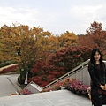 _MG_1239_调整大小.JPG