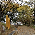 _MG_1243_调整大小.JPG