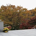 _MG_1234_调整大小.JPG