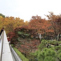 _MG_1233_调整大小.JPG