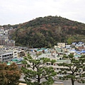 _MG_1308_调整大小.JPG