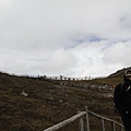_MG_0261_调整大小.JPG