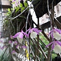 IMG_20200423_093840_调整大小.jpg