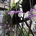 IMG_20200423_093855_调整大小.jpg