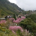 IMG_20200222_124058_调整大小.jpg