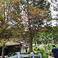 IMG_20201107_121752_调整大小.jpg