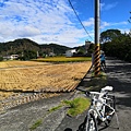 IMG_20201108_105659_调整大小.jpg