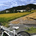 IMG_20201108_105647_调整大小.jpg