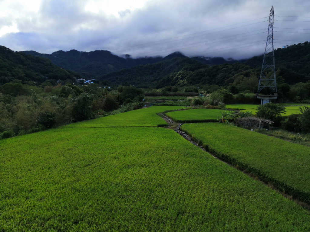 IMG_20201108_084634_调整大小.jpg IMG_20201108_084634_调整大小.jpg