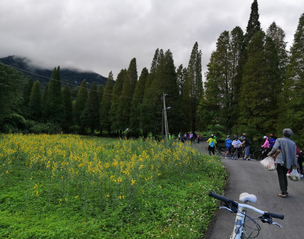 IMG_20201108_083134_调整大小.jpg IMG_20201108_083134_调整大小.jpg