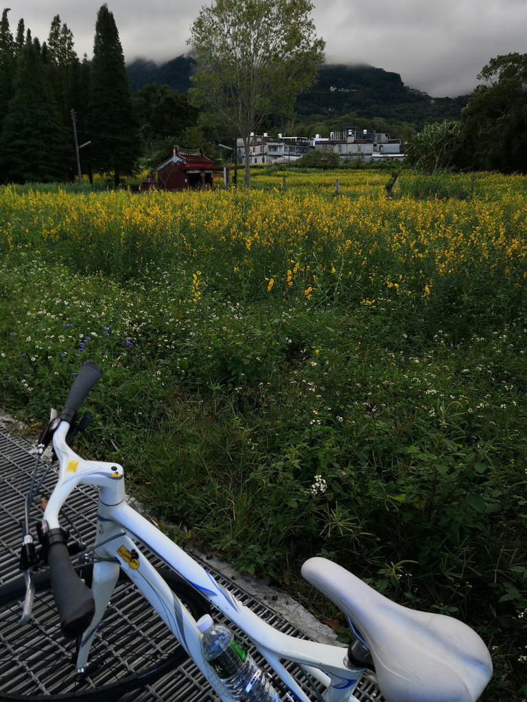 IMG_20201108_082632_调整大小.jpg IMG_20201108_082632_调整大小.jpg