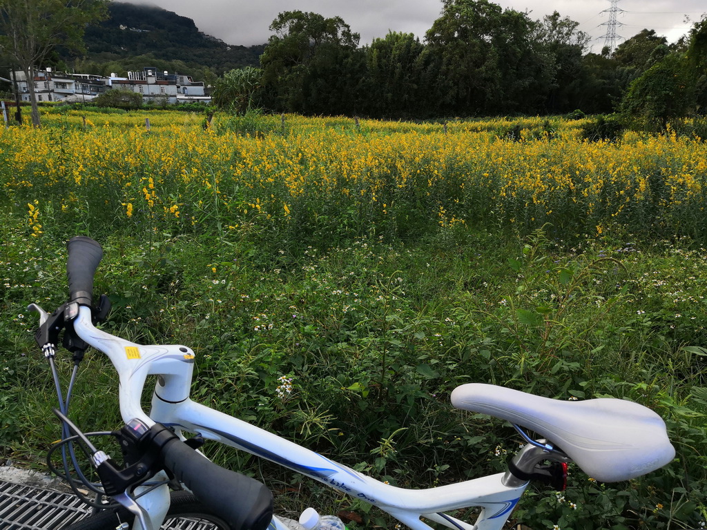 IMG_20201108_082627_调整大小.jpg IMG_20201108_082627_调整大小.jpg