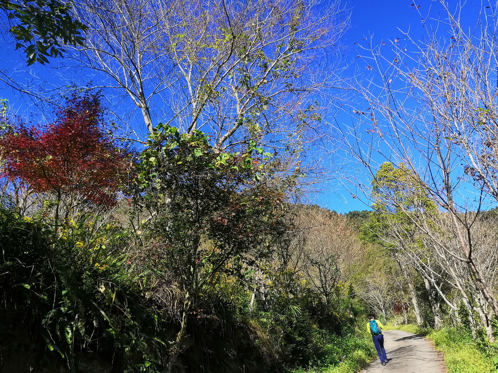 IMG_20211211_092614_调整大小.jpg