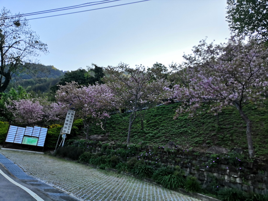 IMG_20220320_073255_调整大小.jpg