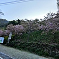 IMG_20220320_073255_调整大小.jpg