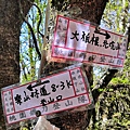 IMG_20220313_083751_调整大小.jpg