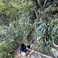 IMG_8142_2.JPG