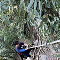 IMG_8143_2.JPG