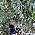 IMG_8144_2.JPG