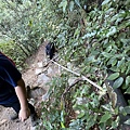 IMG_8145_2.JPG