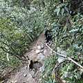 IMG_8146_2.JPG