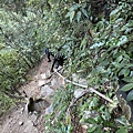 IMG_8147_2.JPG