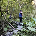 IMG_8156_2.JPG