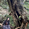 IMG_8162_2.JPG