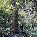 IMG_8164_2.JPG