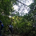 IMG_20220815_065143_2.jpg