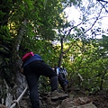 IMG_20220815_065146_2.jpg