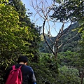 IMG_20220815_065526_2.jpg