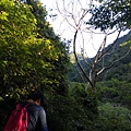IMG_20220815_065529_2.jpg