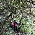 IMG_20220815_065928_2.jpg