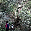 IMG_20220815_070201_2.jpg