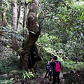 IMG_20220815_070218_2.jpg