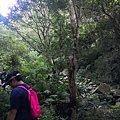 IMG_20220815_070714_2.jpg