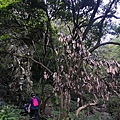 IMG_20220815_070944_2.jpg