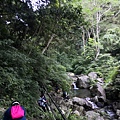 IMG_20220815_071211_2.jpg
