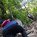 IMG_20220815_065139_2.jpg