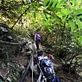 IMG_20220815_065302_2.jpg