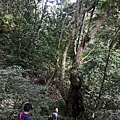 IMG_20220815_070157_1_2.jpg